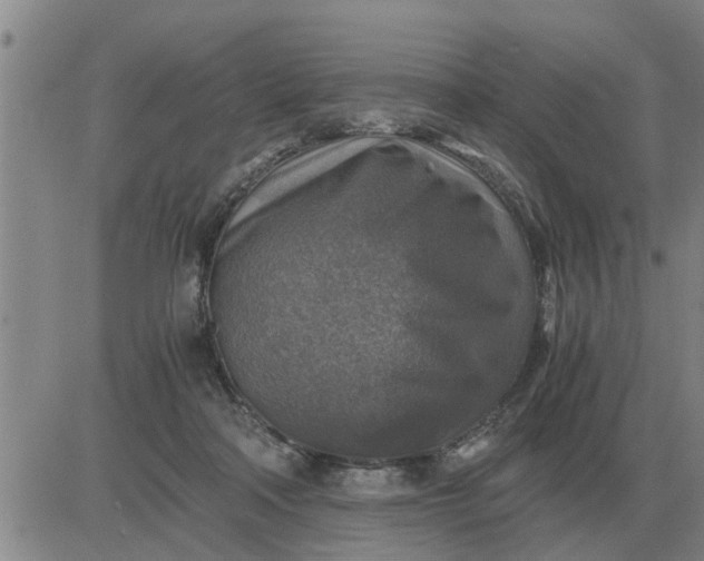 X0000084030314200703022129