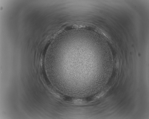 X0000084030315200703022129