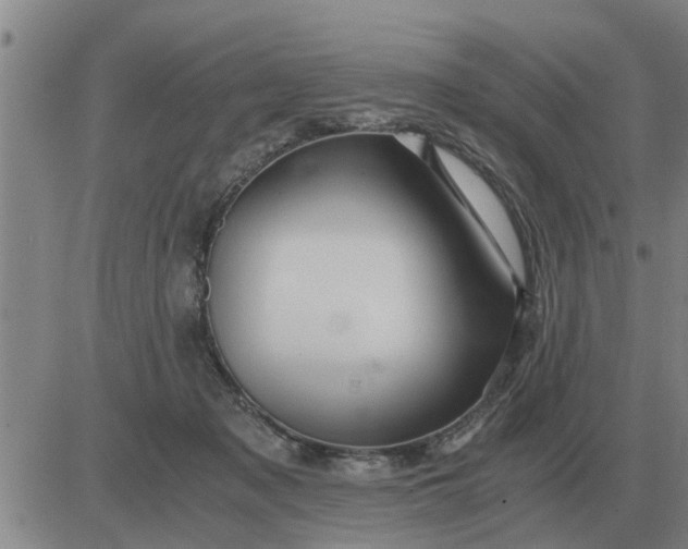 X0000084030317200703022129