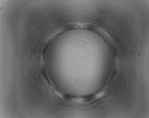 X0000084030318200703022129