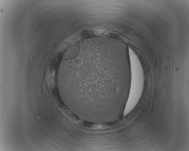 X0000084030319200703022129