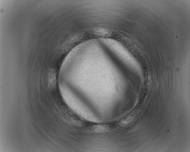 X0000084030320200703022129