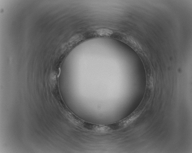 X0000084030321200703022129