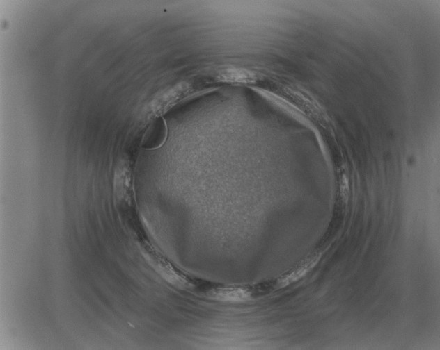 X0000084030322200703022129