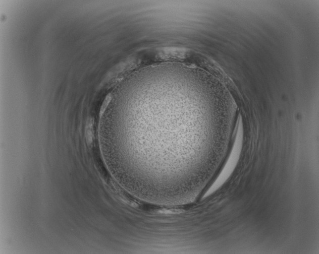 X0000084030323200703022129