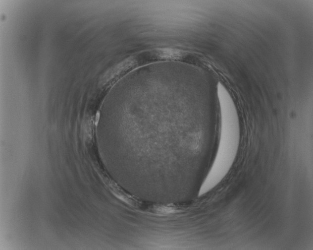 X0000084030325200703022129