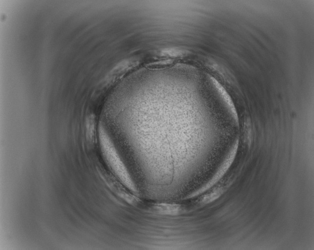 X0000084030328200703022129