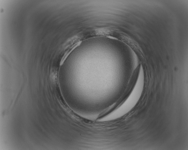 X0000084030329200703022129