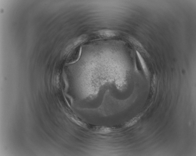 X0000084030330200703022129