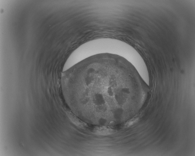 X0000084030331200703022129