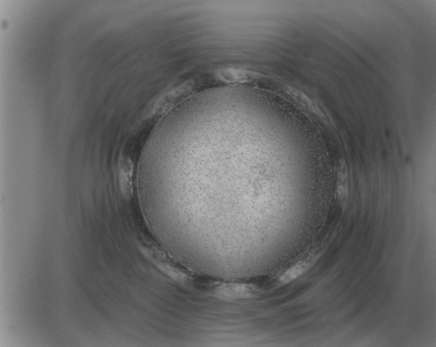 X0000084030332200703022129