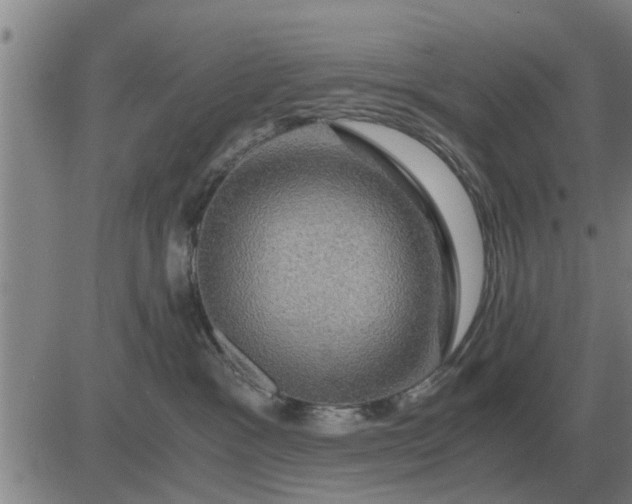 X0000084030333200703022129