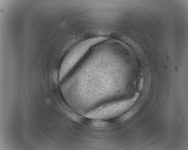 X0000084030336200703022129