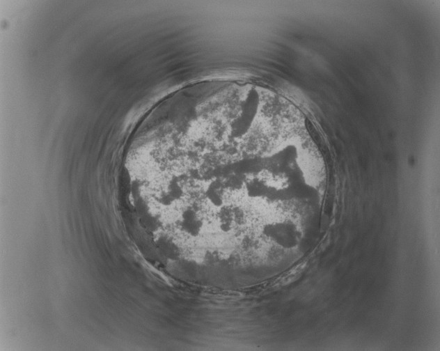 X0000084030337200703022128