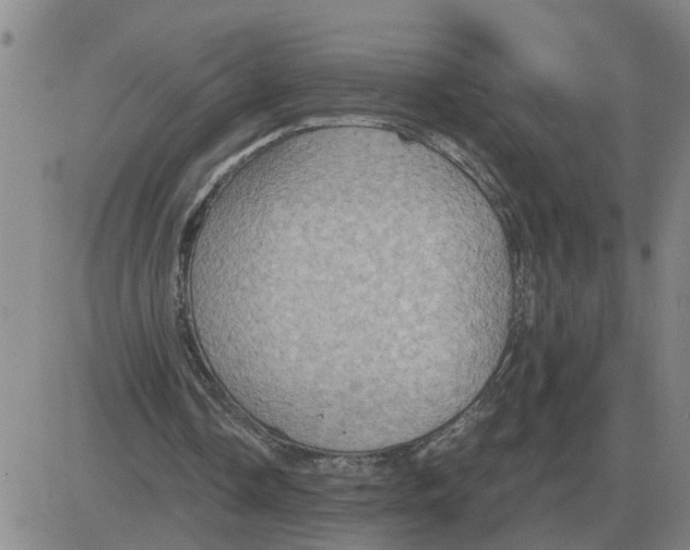 X0000084030338200703022128