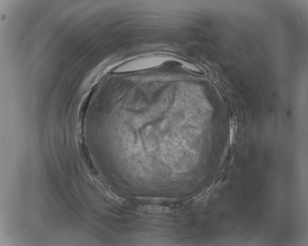 X0000084030339200703022128