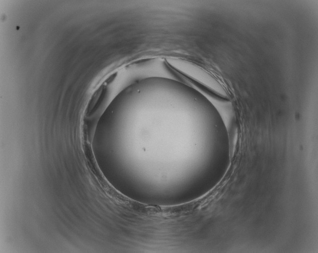 X0000084030340200703022128