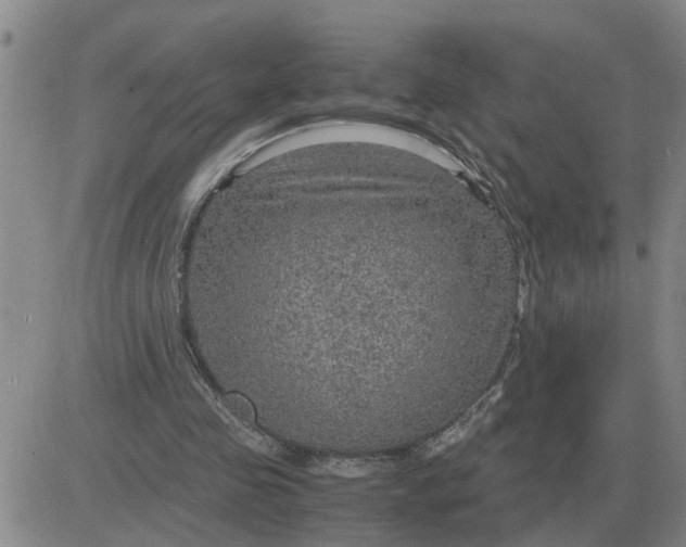 X0000084030341200703022128