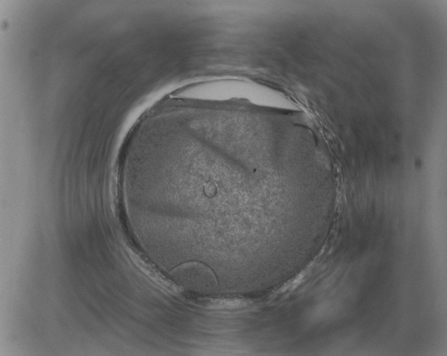 X0000084030342200703022128