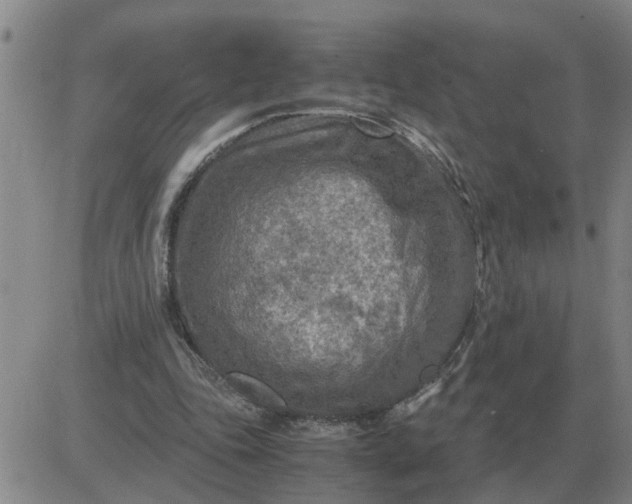 X0000084030343200703022128