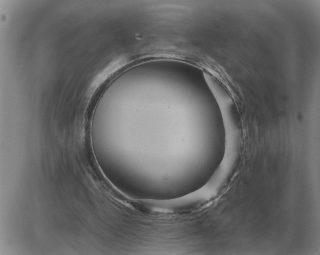 X0000084030344200703022128