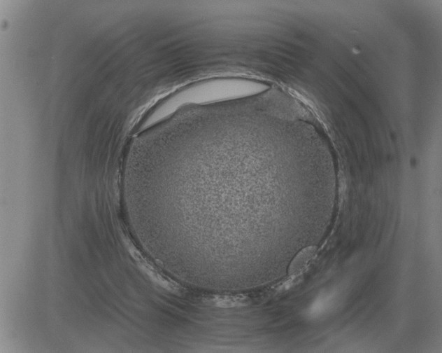 X0000084030345200703022128