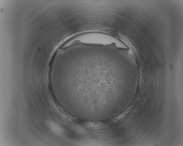 X0000084030346200703022128