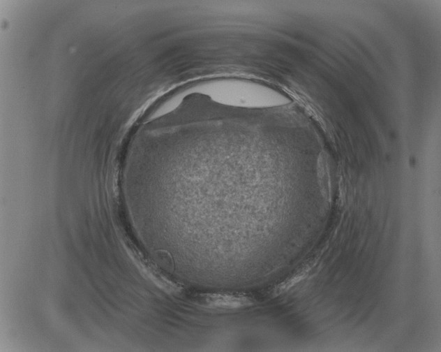 X0000084030347200703022128