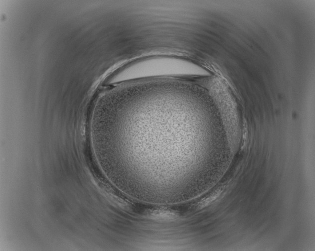 X0000084030348200703022128