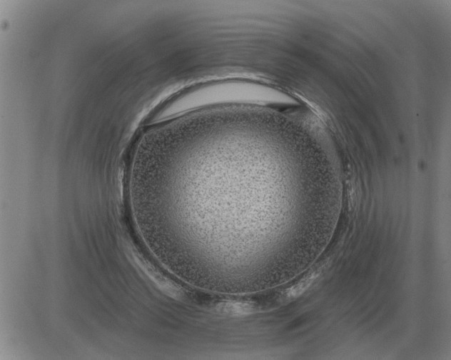 X0000084030350200703022128