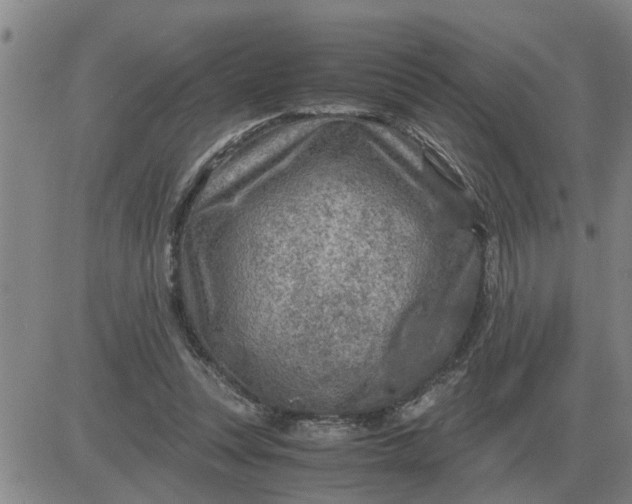 X0000084030351200703022128