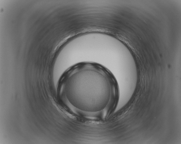 X0000084030352200703022128