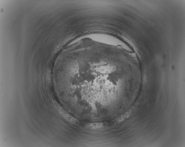 X0000084030353200703022128