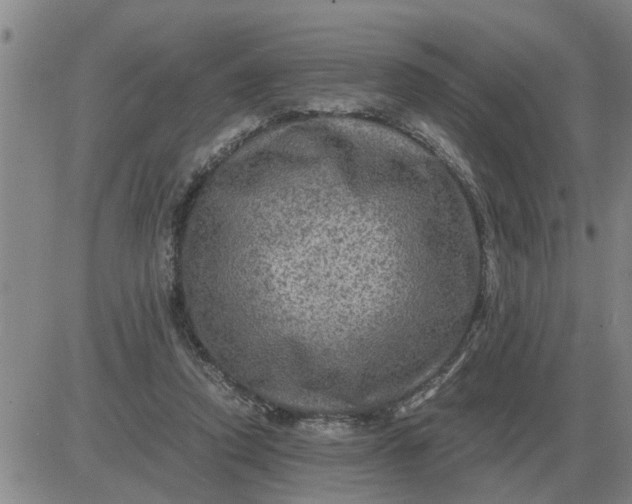 X0000084030354200703022128