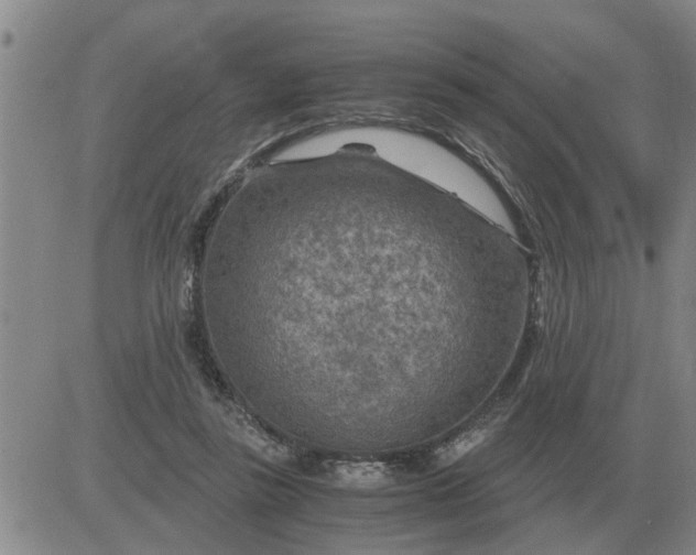 X0000084030355200703022128