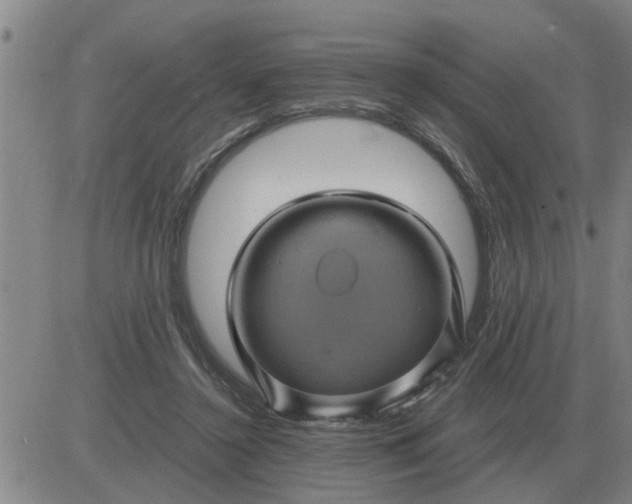 X0000084030356200703022128