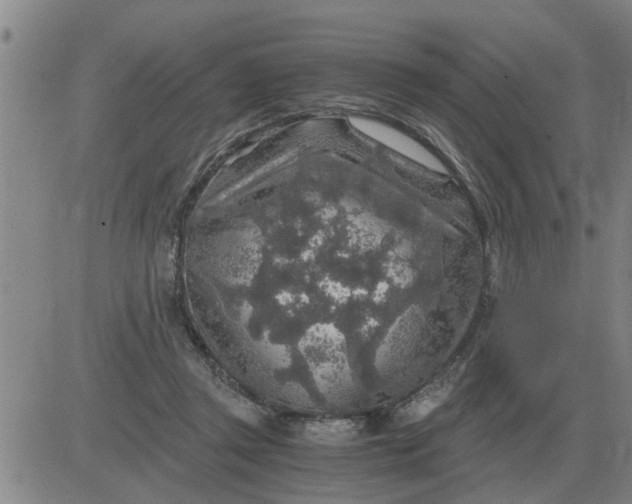 X0000084030357200703022128