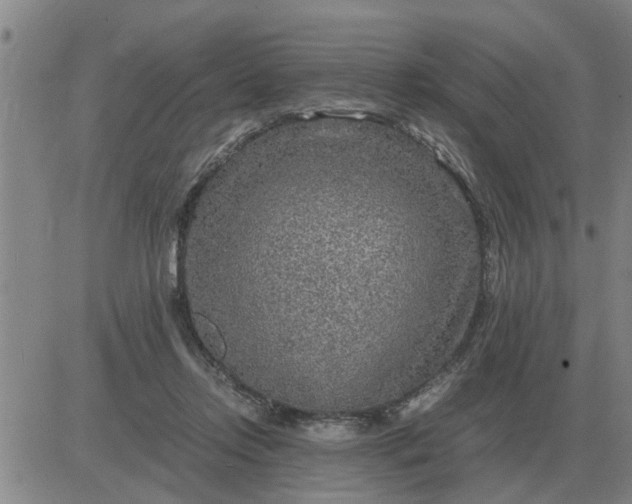 X0000084030358200703022128