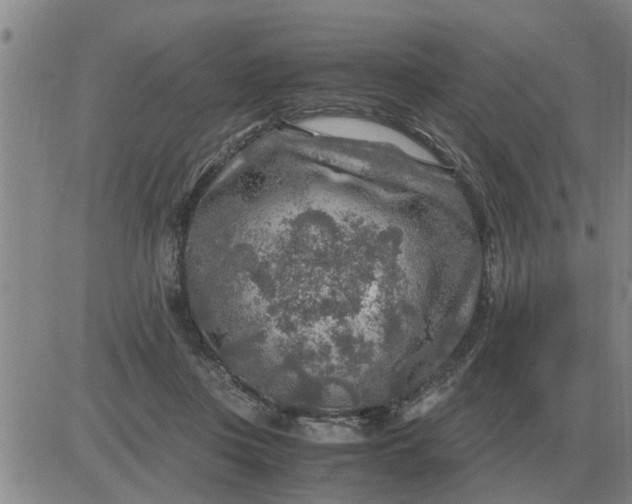 X0000084030359200703022128