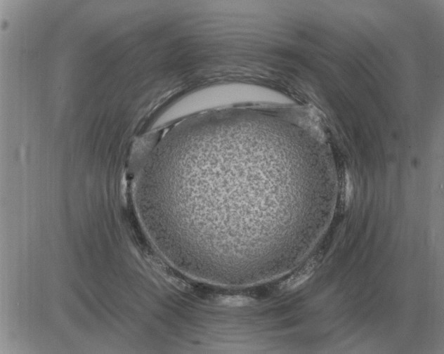 X0000084030360200703022128