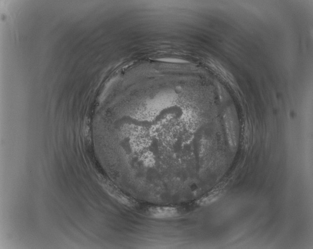 X0000084030361200703022128