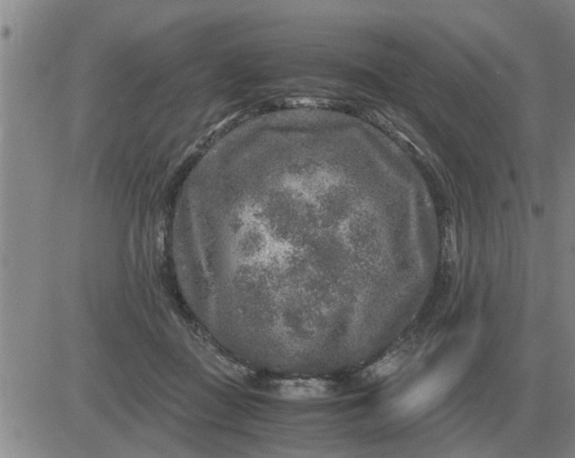 X0000084030363200703022129