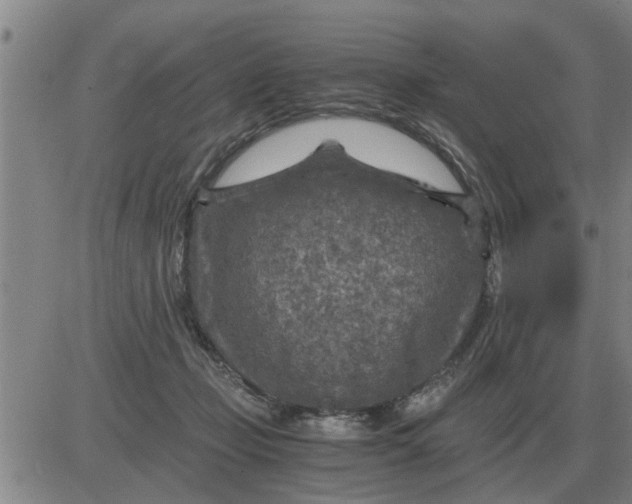 X0000084030365200703022129