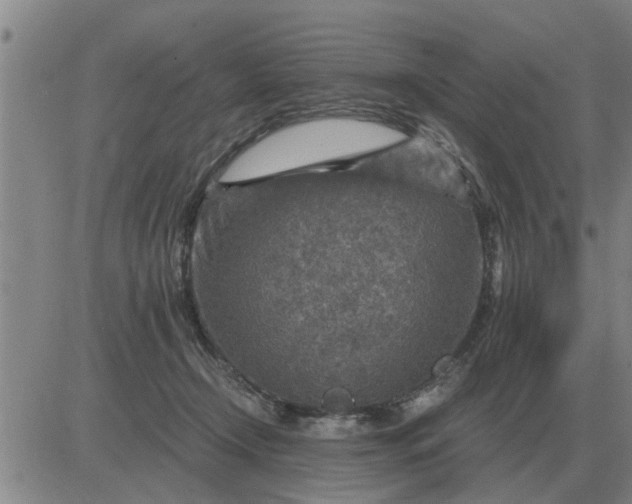 X0000084030366200703022129