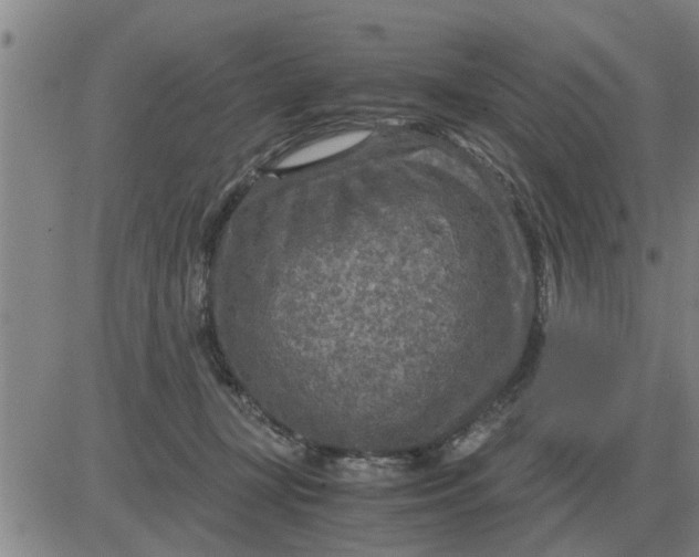 X0000084030367200703022129