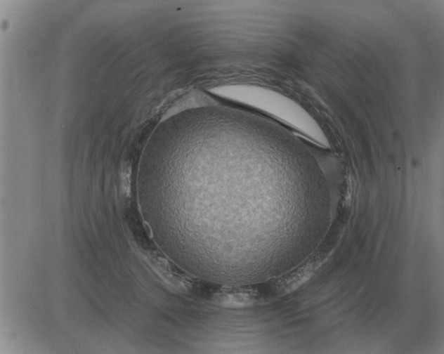 X0000084030368200703022129