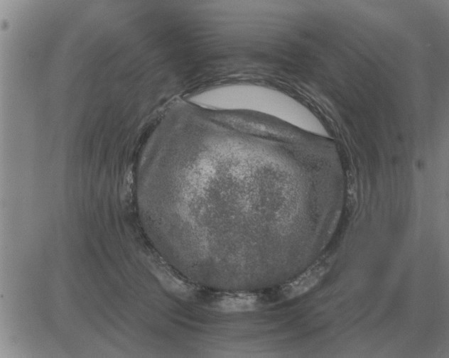 X0000084030369200703022129