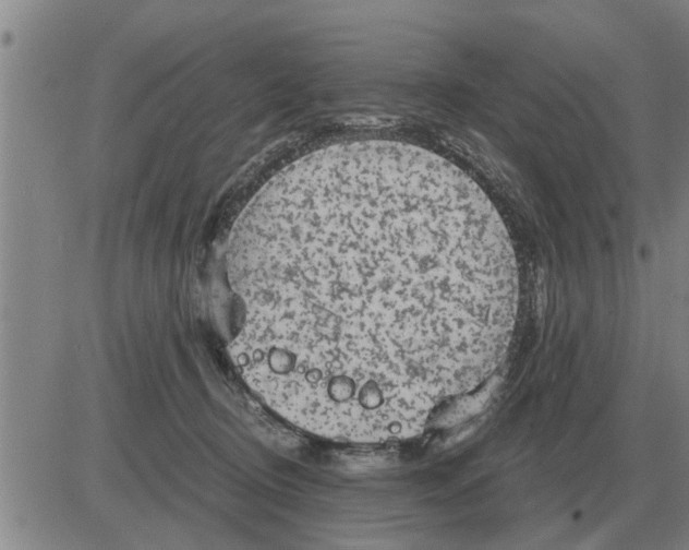 X0000084030370200703022129