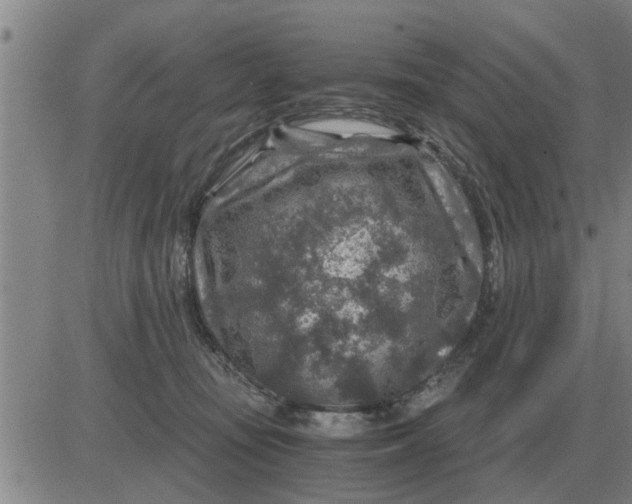 X0000084030371200703022129