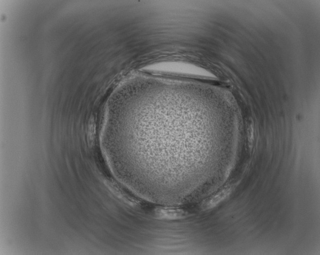 X0000084030372200703022129